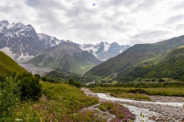 Patara Enguri Nehri, Ushguli 'nin Svaneti Bölgesi, Gürcistan' daki Büyük Kafkasya Dağları 'ndaki Shkhara Buzulu' nu gören bir vadiden aşağı akar. Arkada karla kaplı dağlar var. Vahşi doğa.