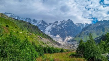 Blooming flowers in a green valley with view on the Shkhara Glacier in the Greater Caucasus Mountain Range in Georgia, Svaneti Region,Ushguli. Snow-capped mountains, Spring. Bushes and hills. Paradise clipart