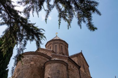 Gürcistan 'ın başkenti Tiflis' teki Kura nehrinin üzerindeki Metekhi Kilisesi 'nin panoramik manzaralı bir ağaç dalı. Gürcistan mimari gezi merkezi. Eski kasaba. Katedral görünümü.