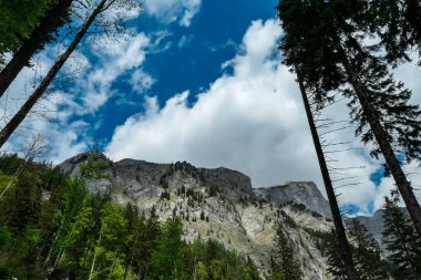 Avusturya 'nın Yukarı Styria bölgesindeki Hochschwab bölgesinde Karlhochkogel ve Foelzkogel panoramik manzarası. Avrupa 'nın en güzel Alplerinde keskin karst kaya oluşumları. Tırmanan turizm, vahşi doğa. Özgürlük kavramı