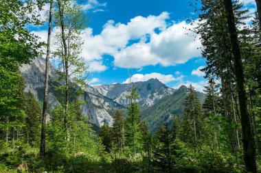 Avusturya 'nın Yukarı Styria bölgesindeki Hochschwab bölgesinde Karlhochkogel ve Foelzkogel panoramik manzarası. Avrupa 'nın en güzel Alplerinde keskin karst kaya oluşumları. Tırmanan turizm, vahşi doğa. Özgürlük kavramı