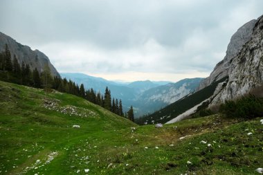 Avusturya 'nın Yukarı Styria bölgesindeki Hochschwab Bölgesi' ndeki Haueslalm 'daki dağ kulübesine giden dağlık çayırda yürüyüş yapıyor. Avrupa 'nın güzel Alpleri' nde ilkbaharın başlarında. Yürüyüş turizmi, vahşi doğa