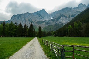 Avusturya 'nın Yukarı Styria bölgesindeki Hochschwab bölgesinde panoramik manzaralı yürüyüş yolu. Avrupa 'nın güzel Alplerinde Zinken' in keskin zirvesi. Tırmanan turizm, vahşi doğa. Özgürlük kavramı