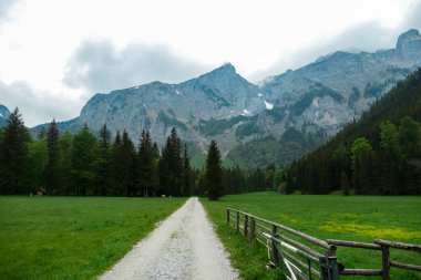 Avusturya 'nın Yukarı Styria bölgesindeki Hochschwab bölgesinde panoramik manzaralı yürüyüş yolu. Avrupa 'nın güzel Alplerinde Zinken' in keskin zirvesi. Tırmanan turizm, vahşi doğa. Özgürlük kavramı