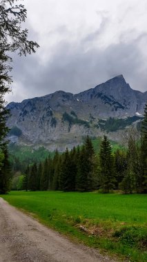 Avusturya 'nın Yukarı Styria bölgesindeki Hochschwab bölgesinde panoramik manzaralı yürüyüş yolu. Avrupa 'nın güzel Alplerinde Zinken' in keskin zirvesi. Tırmanan turizm, vahşi doğa. Özgürlük kavramı