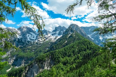 Carinthia, Avusturya ve Slovenya sınırındaki Kamnik Savinja Alpleri 'ndeki Jezerska Kocna zirvesindeki yaprak döken orman manzarası. Vellacher Kotschna 'daki dağ zirveleri. Dağcılık mı? Özgürlük