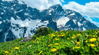Karinthia, Avusturya ve Slovenya sınırındaki Kamnik Savinja Alpleri 'nin kayalık ve keskin dağları üzerinde panoramik manzaralı çiçek açan bahar çayırları. Avrupa 'da yüksek irtifa otlağı. Özgürlük