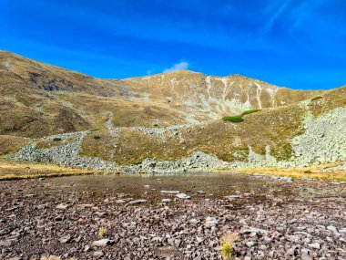 Aşağı Tauern sıradağlarının sarı tepelerindeki Goldlacke Gölü manzarası, Styria, Avusturya, Avrupa. Seckau Alplerinde güneşli bir sonbahar günü. Seckauer Zinken 'e kuru ve çıplak arazide manzaralı yürüyüş patikası