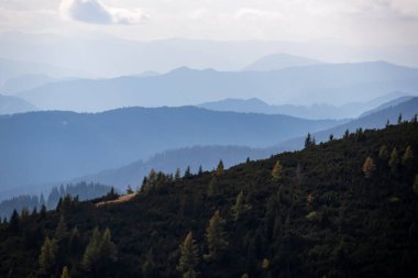 Avusturya, Styria 'daki Aşağı Tauern' de Seckauer Zinken 'den Mur vadisine panoramik bir manzara. Seckau Alpleri 'nde bulutlu bir sonbahar gününde bir tepede orman. Kuru ve çıplak arazide yürüyüş yapmak. Yumuşak tepeler