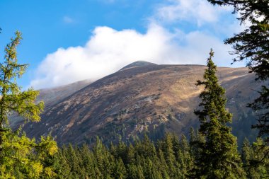 Avusturya, Styria 'daki Aşağı Tauern' de Seckauer Zinken 'in zirvesindeki ormandan panoramik manzara. Seckau Alplerinde güneşli bir sonbahar günü. Kuru, sarı, çıplak tepe arazisinde yürüyüş yapmak. Yükseklerde