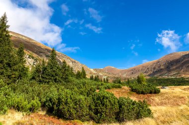 Avusturya, Styria 'daki Lower Tauern' de Seckauer Zinken 'in zirvesine panoramik bir bakış açısı. Seckau Alplerinde güneşli bir sonbahar günü. Kuru, sarı, çıplak çayır arazisinde yürüyüş yapmak. Orman