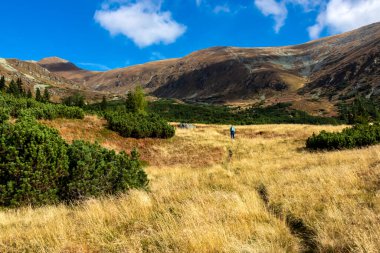 Avusturya, Styria 'daki Lower Tauern' de Seckauer Zinken 'in zirvesine panoramik bir bakış açısı. Seckau Alplerinde güneşli bir sonbahar günü. Kuru, sarı, çıplak çayır arazisinde yürüyüş yapmak. Yumuşak tepeler
