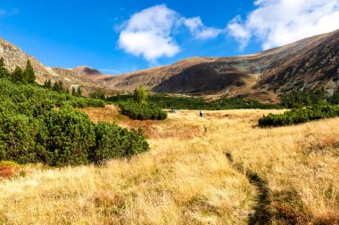 Avusturya, Styria 'daki Lower Tauern' de Seckauer Zinken 'in zirvesine panoramik bir bakış açısı. Seckau Alplerinde güneşli bir sonbahar günü. Kuru, sarı, çıplak çayır arazisinde yürüyüş yapmak. Yumuşak tepeler
