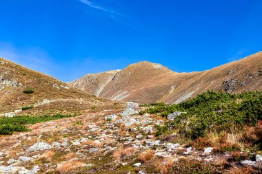 Avusturya, Styria 'daki Lower Tauern' de Seckauer Zinken 'in zirvesine panoramik bir bakış açısı. Seckau Alplerinde güneşli bir sonbahar günü. Kuru ve çıplak çayır arazisinde yürüyüş yapmak. Yumuşak tepelerde yürü