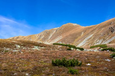Avusturya, Styria 'daki Lower Tauern' de Seckauer Zinken 'in zirvesine panoramik bir bakış açısı. Seckau Alplerinde güneşli bir sonbahar günü. Kuru ve çıplak çayır arazisinde yürüyüş yapmak. Yumuşak tepelerde yürü