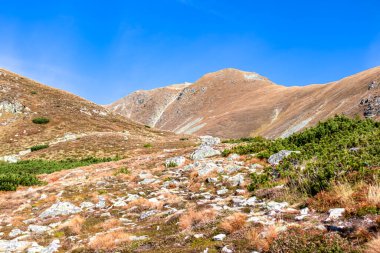 Avusturya, Styria 'daki Lower Tauern' de Seckauer Zinken 'in zirvesine panoramik bir bakış açısı. Seckau Alplerinde güneşli bir sonbahar günü. Kuru ve çıplak çayır arazisinde yürüyüş yapmak. Yumuşak tepelerde yürü
