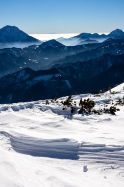 Avusturya, Carinthia 'daki Karawanks dağlarının karla kaplı tepelerinde panoramik manzara. Julian Alps. Avusturya Alpleri, Avrupa 'da kış harikalar diyarı. Kayak turu, kar ayakkabısı yürüyüşü. Hochobir. Mavi sisli tepeler.