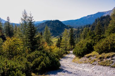 Avusturya 'nın Yukarı Styria bölgesindeki Hochschwab Bölgesi' nin dağ tepelerinde panoramik manzaralı bir yürüyüş yolu. Avrupa 'da Alpler. Yolculuk, vahşi doğa. Özgürlük kavramı. Sackwiesenalm, Haeuselalm