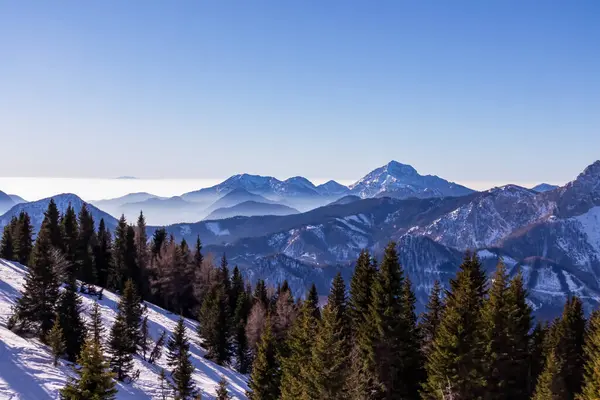 Avusturya, Carinthia 'daki Karawanks dağlarının karla kaplı tepelerinde panoramik manzara. Julian Alps. Avusturya Alpleri, Avrupa 'da kış harikalar diyarı. Kayak turu, kar ayakkabısı yürüyüşü. Hochobir. Mavi sisli tepeler.