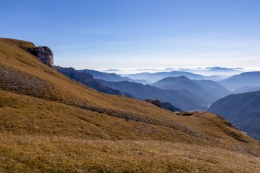 Avusturya 'nın Styria bölgesindeki Hochschwab bölgesinde bir dağ keçisi. Avrupa 'da Alpler. Vahşi yaşam ve vahşi doğa. Vahşi hayvanların doğal yaşam alanı. Puslu vadi ve yumuşak tepeler. Özgürlük kavramı
