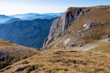 Avusturya 'nın Styria bölgesindeki Hochschwab bölgesinde bir dağ keçisi. Avrupa 'da Alpler. Vahşi yaşam ve vahşi doğa. Vahşi hayvanların doğal yaşam alanı. Misty Valley, yumuşak tepeler. Özgürlük kavramı. Zinken.