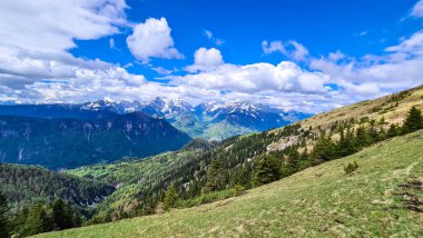 Frauenkogel 'den Karawanks ve Julian Alps, Carinthia, Avusturya' daki dağ tepelerinde panoramik manzara. Avusturya, Slovenya, İtalya sınırlarında. Triglav Ulusal Parkı. İlkbaharda Alp çayırları. Orman
