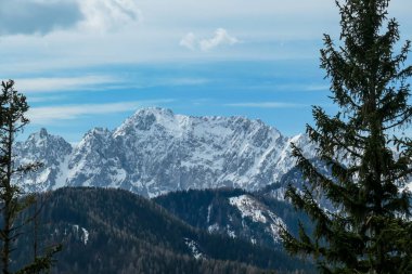 Avusturya 'nın Carinthia kentindeki Sinacher Gupf' a giden Karawanks tepelerinin kar manzaralı manzarası. Wertatscha Dağı, ilkbaharın başlarında sık ormanlardan görülebilir. Güneşli bir günde Rosental. Yürüyüş.