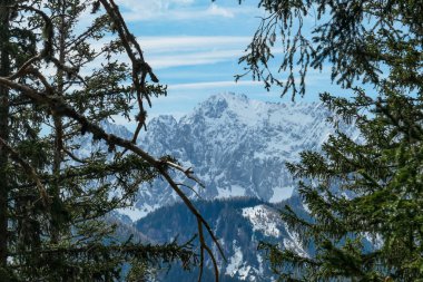 Avusturya 'nın Carinthia kentindeki Sinacher Gupf' a giden Karawanks tepelerinin kar manzaralı manzarası. Wertatscha Dağı, ilkbaharın başlarında sık ormanlardan görülebilir. Güneşli bir günde Rosental. Yürüyüş.