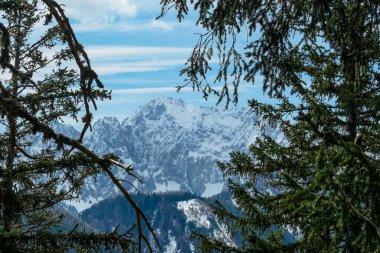 Avusturya 'nın Carinthia kentindeki Sinacher Gupf' a giden Karawanks tepelerinin kar manzaralı manzarası. Wertatscha Dağı, ilkbaharın başlarında sık ormanlardan görülebilir. Güneşli bir günde Rosental. Yürüyüş.