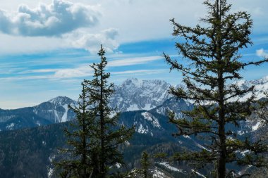 Avusturya 'nın Carinthia kentindeki Sinacher Gupf' a giden Karawanks tepelerinin kar manzaralı manzarası. Wertatscha Dağı, ilkbaharın başlarında sık ormanlardan görülebilir. Güneşli bir günde Rosental. Yürüyüş.