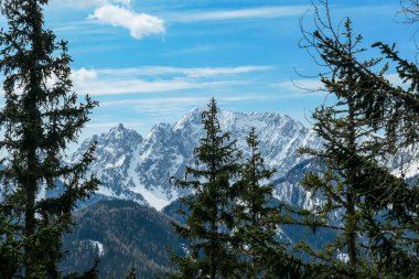 Avusturya 'nın Carinthia kentindeki Sinacher Gupf' a giden Karawanks tepelerinin kar manzaralı manzarası. Wertatscha Dağı, ilkbaharın başlarında sık ormanlardan görülebilir. Güneşli bir günde Rosental. Yürüyüş.