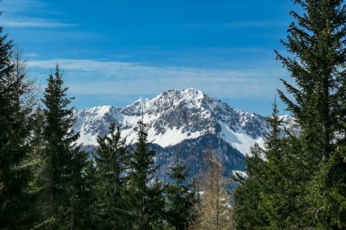 Avusturya, Carinthia 'daki Sinacher Gupf' tan Karawanks 'ın karla kaplı zirvelerinin manzarası. Hochstuhl Dağı (Stol), ilkbaharın başlarında sık ormanlardan görülebilir. Güneşli bir günde Rosental. Özgürlük