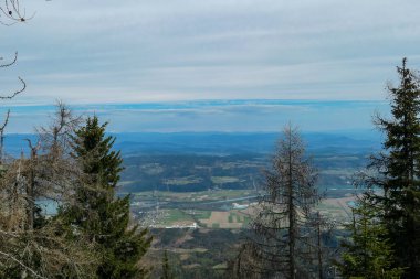 Avusturya, Carinthia 'daki Sinacher Gupf' a giden Rosental Vadisi 'ndeki Drava nehrinin manzarası. İlkbaharın başında orman. Hohe Tauern dağ sırası arka tarafta görülebilir. Güneşli bir gün. Koşun!