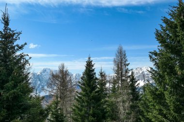 Avusturya, Carinthia 'da Sinacher Gupf yakınlarında Karawanks' ın karla kaplı zirvelerinin manzarası. Wertatscha Dağı ve Hochstuhl (Stol) ilkbaharın başlarında sık ormanlardan görülebilir. Güneşli Rosental