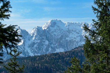 Avusturya 'nın Carinthia kentindeki Sinacher Gupf' a giden Karawanks tepelerinin kar manzaralı manzarası. Wertatscha Dağı, ilkbaharın başlarında sık ormanlardan görülebilir. Güneşli bir günde Rosental. Yürüyüş.