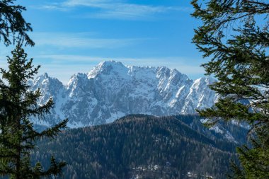 Avusturya 'nın Carinthia kentindeki Sinacher Gupf' a giden Karawanks tepelerinin kar manzaralı manzarası. Wertatscha Dağı, ilkbaharın başlarında sık ormanlardan görülebilir. Güneşli bir günde Rosental. Yürüyüş.