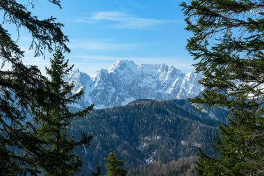 Avusturya 'nın Carinthia kentindeki Sinacher Gupf' a giden Karawanks tepelerinin kar manzaralı manzarası. Wertatscha Dağı, ilkbaharın başlarında sık ormanlardan görülebilir. Güneşli bir günde Rosental. Yürüyüş.