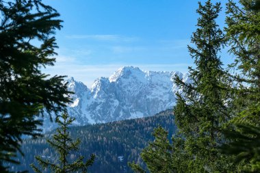 Avusturya 'nın Carinthia kentindeki Sinacher Gupf' a giden Karawanks tepelerinin kar manzaralı manzarası. Wertatscha Dağı, ilkbaharın başlarında sık ormanlardan görülebilir. Güneşli bir günde Rosental. Yürüyüş.