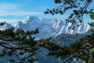 Avusturya 'nın Carinthia kentindeki Sinacher Gupf' a giden Karawanks tepelerinin kar manzaralı manzarası. Wertatscha Dağı, ilkbaharın başlarında sık ormanlardan görülebilir. Güneşli bir günde Rosental. Yürüyüş.