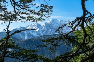 Avusturya 'nın Carinthia kentindeki Sinacher Gupf' a giden Karawanks tepelerinin kar manzaralı manzarası. Wertatscha Dağı, ilkbaharın başlarında sık ormanlardan görülebilir. Güneşli bir günde Rosental. Yürüyüş.