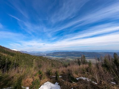 Avusturya, Carinthia 'daki Sinacher Gupf' a giden Rosental Vadisi 'ndeki Drava nehrinin manzarası. İlkbaharın başında orman. Hohe Tauern dağ sırası arka tarafta görülebilir. Güneşli bir gün. Koşun!