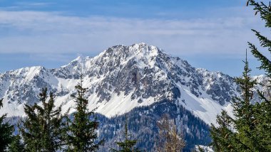 Avusturya, Carinthia 'daki Sinacher Gupf' tan Karawanks 'ın karla kaplı zirvelerinin manzarası. Hochstuhl Dağı (Stol), ilkbaharın başlarında sık ormanlardan görülebilir. Güneşli bir günde Rosental. Özgürlük