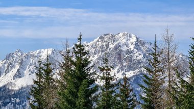 Avusturya, Carinthia 'daki Sinacher Gupf' tan Karawanks 'ın karla kaplı zirvelerinin manzarası. Hochstuhl Dağı (Stol), ilkbaharın başlarında sık ormanlardan görülebilir. Güneşli bir günde Rosental. Özgürlük