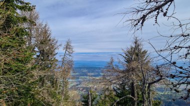 Avusturya, Carinthia 'daki Sinacher Gupf' a giden Rosental Vadisi 'ndeki Drava nehrinin manzarası. İlkbaharın başında orman. Hohe Tauern dağ sırası arka tarafta görülebilir. Güneşli bir gün. Koşun!