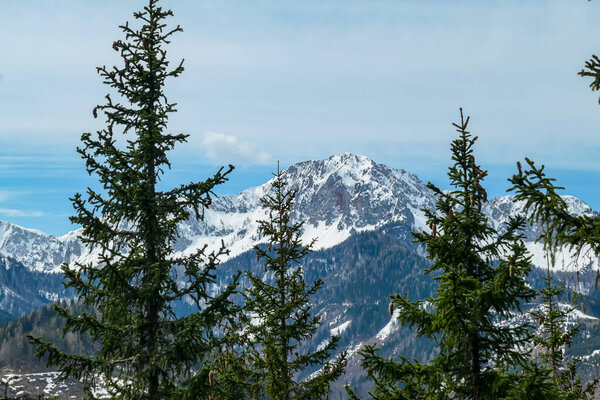 Сценический вид заснеженных горных вершин Караванков с Синахер Гупф в Каринтии, Австрия. Гора Хохштуль (Стол) видна через густой лес ранней весной. Розенталь в солнечный день. Свобода