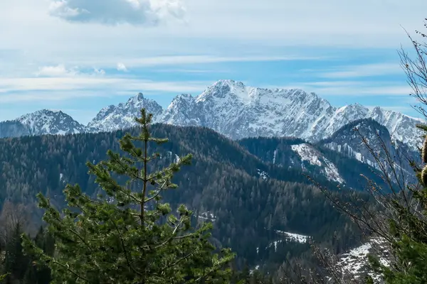 Avusturya 'nın Carinthia kentindeki Sinacher Gupf' a giden Karawanks tepelerinin kar manzaralı manzarası. Wertatscha Dağı, ilkbaharın başlarında sık ormanlardan görülebilir. Güneşli bir günde Rosental. Yürüyüş.