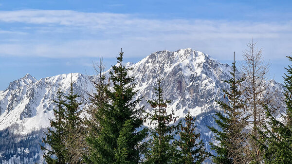 Сценический вид заснеженных горных вершин Караванков с Синахер Гупф в Каринтии, Австрия. Гора Хохштуль (Стол) видна через густой лес ранней весной. Розенталь в солнечный день. Свобода