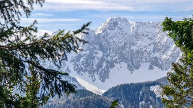 Avusturya 'nın Carinthia kentindeki Sinacher Gupf' a giden Karawanks tepelerinin kar manzaralı manzarası. Wertatscha Dağı, ilkbaharın başlarında sık ormanlardan görülebilir. Güneşli bir günde Rosental. Yürüyüş.