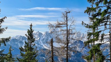 Avusturya 'nın Carinthia kentindeki Sinacher Gupf' a giden Karawanks tepelerinin kar manzaralı manzarası. Wertatscha Dağı, ilkbaharın başlarında sık ormanlardan görülebilir. Güneşli bir günde Rosental. Yürüyüş.