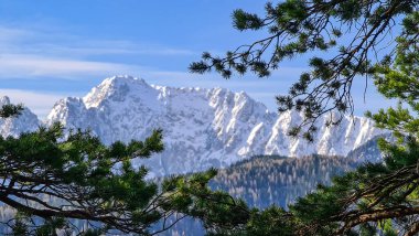 Avusturya 'nın Carinthia kentindeki Sinacher Gupf' a giden Karawanks tepelerinin kar manzaralı manzarası. Wertatscha Dağı, ilkbaharın başlarında sık ormanlardan görülebilir. Güneşli bir günde Rosental. Yürüyüş.